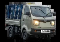 Tata Ace Pro Bi-fuel